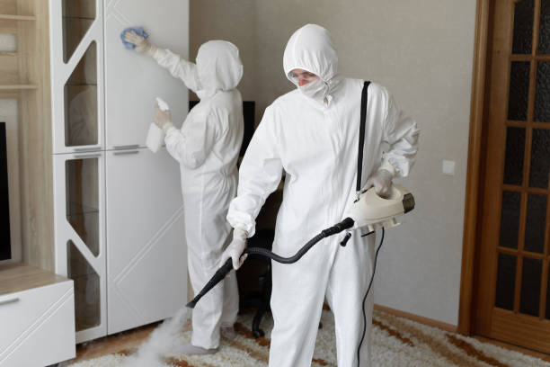 Trusted Sewage Cleanup service in Kingston, IL - Four Month Blood Cleanse