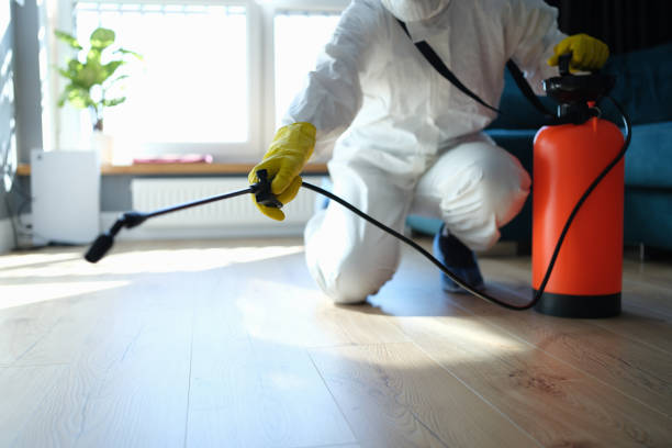 Trusted Sewage Cleanup service in Kingston, IL - Four Month Blood Cleanse